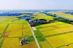 hoan thien chinh sach ve luat dat dai trong do co dat nong nghiep 18153461