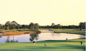 san golf1