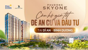 SkyOne hero 1.jpg
