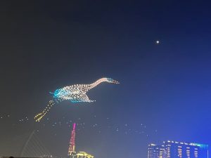 IMG 9079